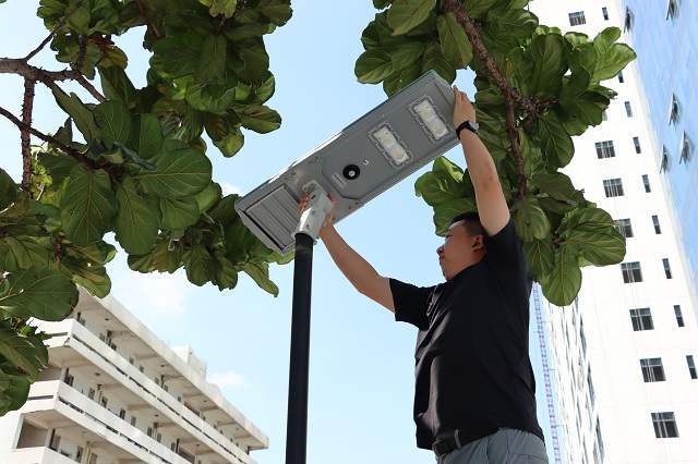 light pole with solar panel.JPG