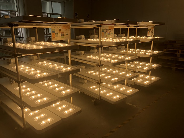 What is the relationship between LED solar street light lumens and energy efficiency?