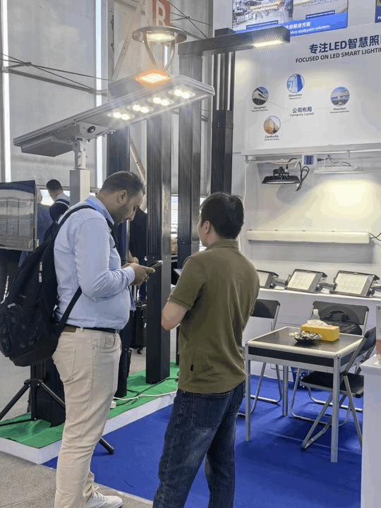 Free standing solar lights for garden